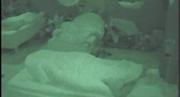 બીભત્સ પાડોશી એક સોનેરી ઇંગ્લીશ સેકસી વીડીયા માં આ બિલાડી